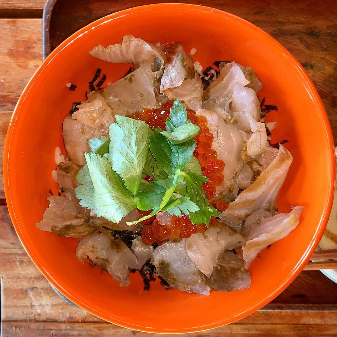 池内万作のインスタグラム：「お正月の〆となった鯛のコブジメとスジコ丼。 たまりませぬ。 つーかコブジメいいなぁ。 今年はもっとやりたいなぁ。 って食べるたびに言ってる気がするw ごちそうさまでした！ #イケウチ家の食卓 #みちょ食堂」