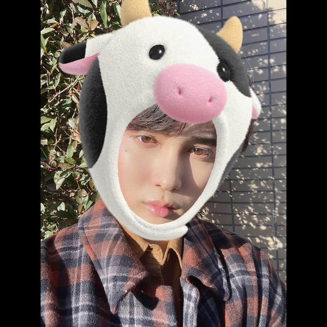 池添俊亮さんのインスタグラム写真 - (池添俊亮Instagram)「丑年だから2021年は年男の丑男🐮  今年の目標は痩せて細マッチョになって 脱げる身体 を手に入れる事と、池添俊亮をもっと世間の方々に知ってもらって愛される事。  あとは楽しく健康にかっこよくキラキラして生きよー！  #🐮」1月5日 11時04分 - zoe_boy_0427