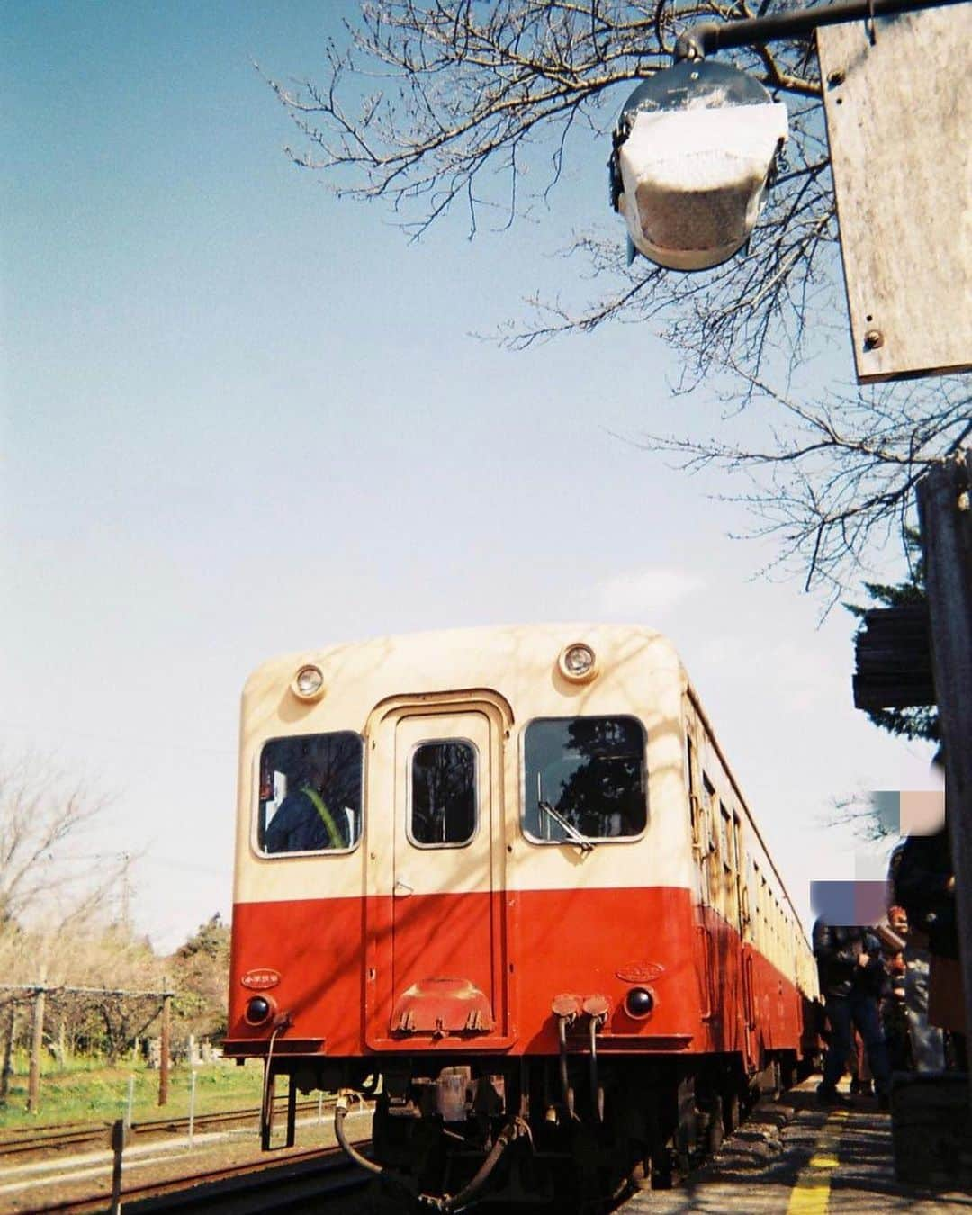 小田飛鳥のインスタグラム：「#写ルンです ♪ 今年も桜が楽しみです🌸 #小湊鉄道 #kominatorailway #桜 #cherryblossom #菜の花 #rapeblossoms #幸せの鐘 #スカイツリー #下町 #skytree #大ジョッキ #ビール #beer #大ジョッキしか勝たん」