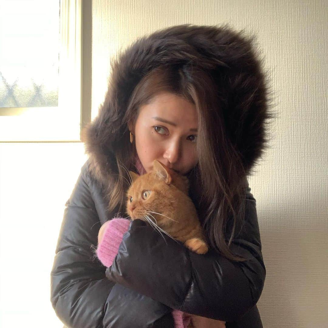 美優さんのインスタグラム写真 - (美優Instagram)「with たつろう🐈﻿ ﻿ 写真を撮っていると﻿ 私の周りをウロウロして﻿ 写り込んでこようとするので﻿ 抱っこしてみたら放心状態に😅﻿ ﻿ #マンチカン #manchkin ﻿ #にゃんすたぐらむ」1月5日 11時29分 - miyu11_20