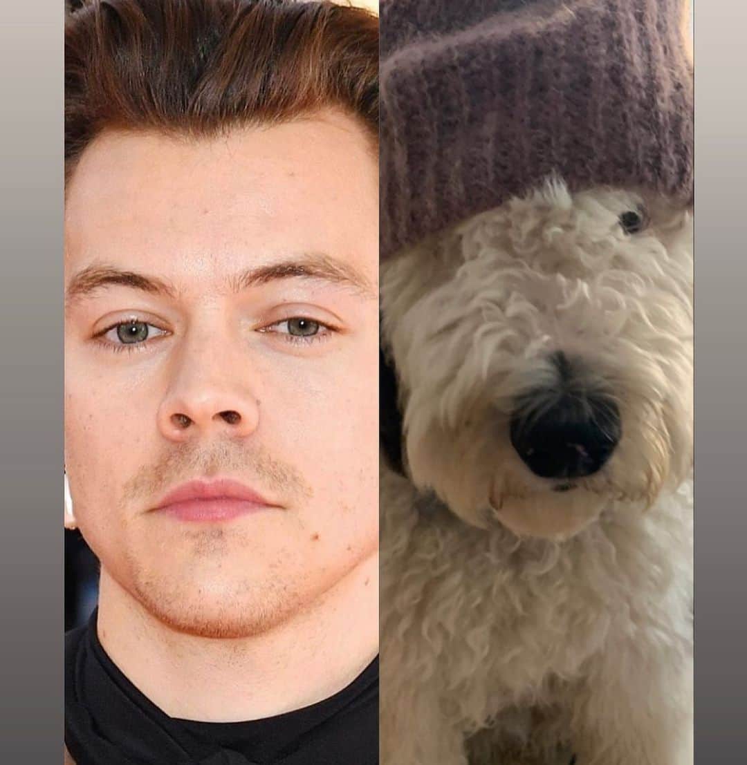 ジェニファー・エスポジートのインスタグラム：「Also dating Harry Styles.」