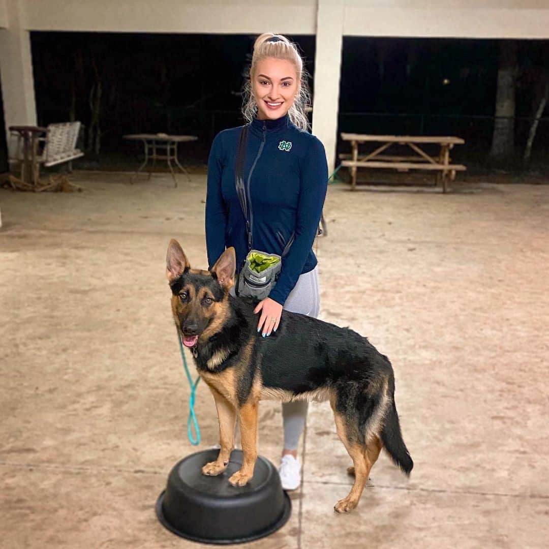 アンナ・フェイスのインスタグラム：「@hanx_the_tank was the bestest boy in class tonight! What are your dogs nicknames? We call Hanx Hanky, bubba and Hanker 😂」