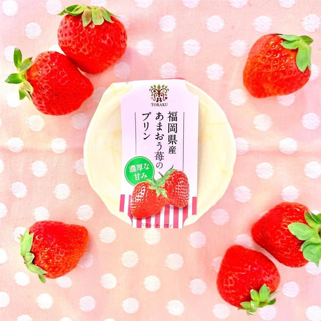 トーラク株式会社のインスタグラム：「今日1月5日は「いちごの日」🍓  カップマルシェ 福岡県産あまおう苺のプリンは「あかい、まるい、おおきい、うまい」の四拍子がそろった “あまおう苺” の果汁を使用しています🤤 一口食べると、甘くてみずみずしい🍓いちごの風味が口いっぱいに広がります✨ この時期だけの逸品をぜひ一度お試しください♪ ※保存料は不使用です  カップマルシェ 福岡県産あまおう苺のプリン　135円（税別）  #トーラク  #プリン  #プリン部  #プリン好きな人と繋がりたい  #コンビニスイーツ  #コンビニデザート  #おうち時間  #おうちカフェ  #おうちおやつ  #おうちで過ごそう  #おうちcafe  #おうちスイーツ  #ステイホーム  #こどものおやつ  #今日のおやつ  #本日のおやつ  #本日のデザート  #本日のスイーツ  #休日の過ごし方  #休日の楽しみ  #デザートは別腹  #カップマルシェ　#あまおう　#いちごプリン　#旬の果物　#苺　#いちご　#いちごの日　#期間限定」