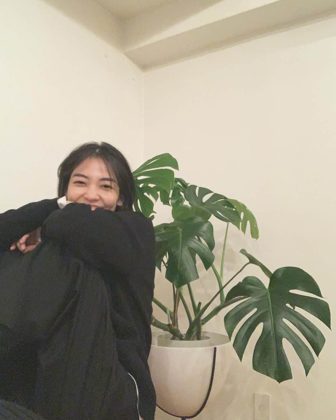仲美咲のインスタグラム：「遅くなりましが、 あけましておめでとうございます🌅 . 2021年になった瞬間に周りの人の暖かさや大切さとか思い返してきて何故か色んな感情が出てきて感極まってしまいました。 . もちろん不安や孤独感もあるけれどそれよりもとにかくがんばるしかない、人生を盛り上げていかなければと強く思てたし、 そして何より私の周りの人たち、応援してくださってる方への言葉にできないぐらいの大切さに感謝の気持ちに本当にあらためて気付かされた2021年のスタートでした。 . 振り返ってしまいますが、 2020年は一人一人が色んな葛藤に悩んできていてみんな一人でたたかってきた人が多いと思います。 友達に助けを求めるのは勇気のいることだけど、もっともっと周りとも助け合いながら生きていいと思う . 2021年に覚えた言葉。 . hot scary summer🌿 （オツカレマ） #明けましておめでとうございます #今年も宜しくお願い致します #丑年#🐮」