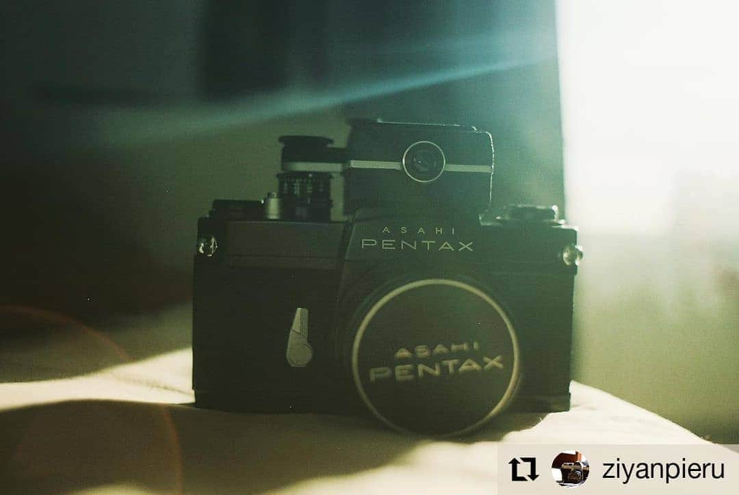 カメラのキタムラさんのインスタグラム写真 - (カメラのキタムラInstagram)「#Repost @ziyanpieru • • • • • • PENTAX  SP takumar 35mm  F2  ソファのカメラ。  月一くらいの頻度ですが 防湿庫からカメラを 取り出して動作確認や 清掃などの定期検診。  メンテ後のSLに 光がさしていて 早く使って欲しそう。  #カメラのメンテナンスは大事  #家での過ごし方  #pentaxsl  #日常の風景  #スナップ写真  #千葉カメラ部  #フィルム写真部  #フィルムカメラ初心者  #ペンタックス  #一眼レフのある生活  #filmcamera  #filmcameragiveaway #film_jp  #pentaxsp #pentaxphotography  #takumarlens  #オールドカメラ  #オールドレンズ初心者  #タクマーで繋がりたい #マニュアルフォーカス  #単焦点レンズ #キリトリセカイ  #ファインダー越しの私の世界  #キタムラ写真投稿 #写真好きの輪をひろげたい」1月5日 12時14分 - camera_kitamura