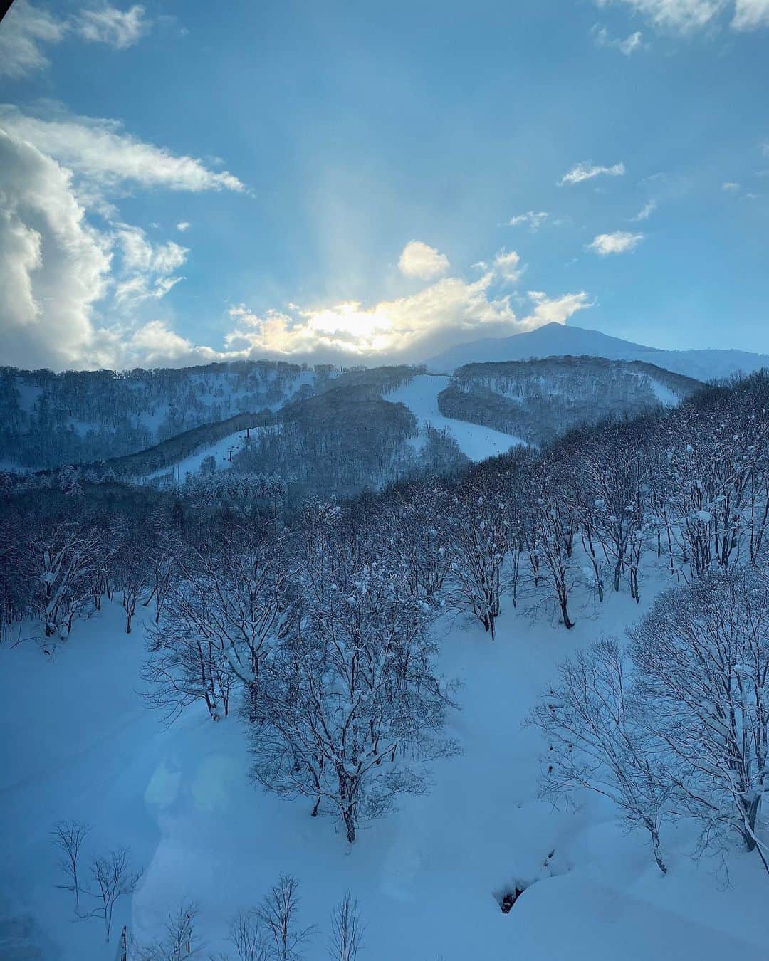 翁安芸さんのインスタグラム写真 - (翁安芸Instagram)「滞在中ほとんど大雪でしたが、 美しい晴れ間も見れました🙏🏻✨  #gratitude #beautiful #niseko」1月5日 13時19分 - akinyc