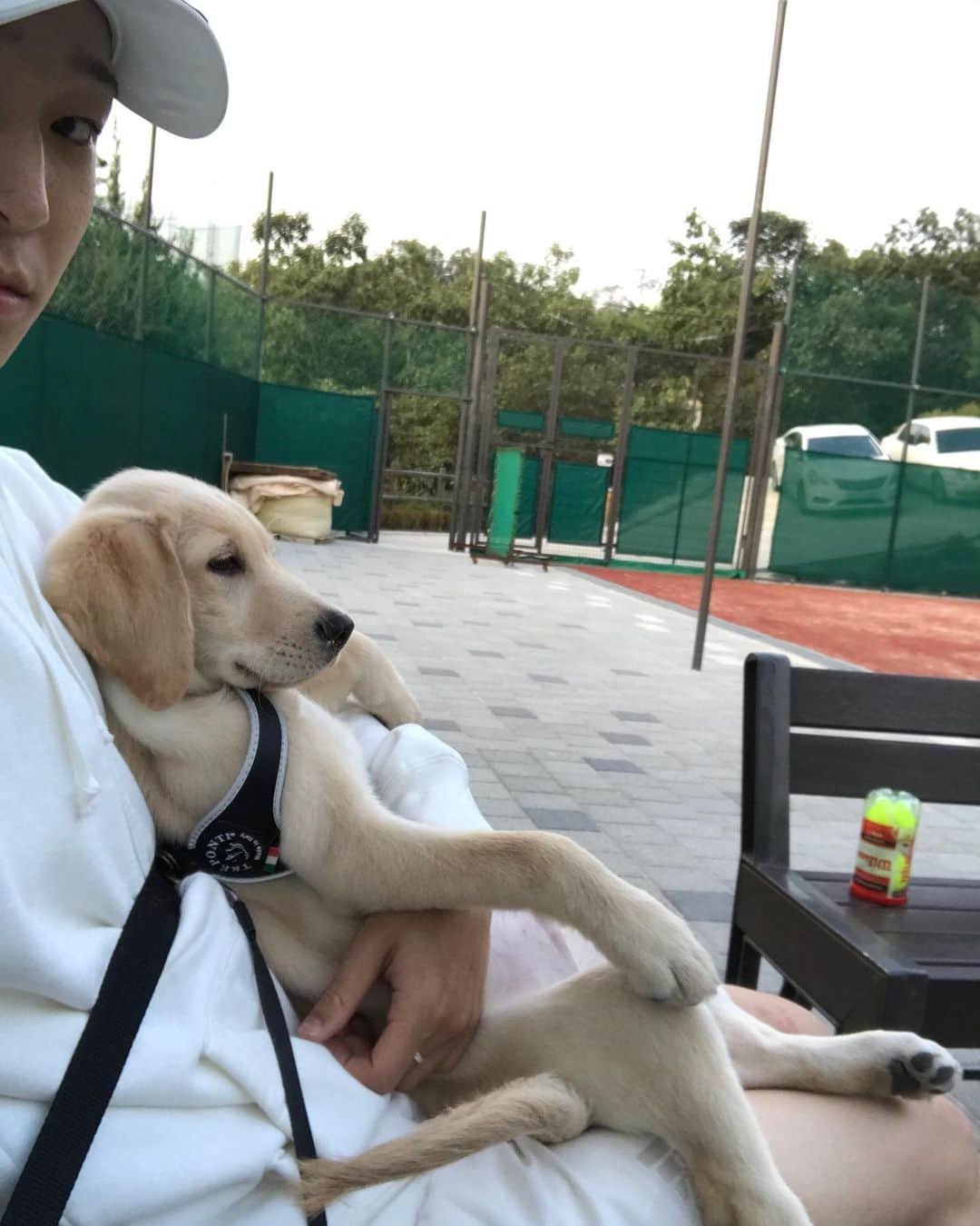 のインスタグラム：「리틀이 작을때도 있었는데 그치 이제 너무 무거워 너  #리틀 #빅틀」