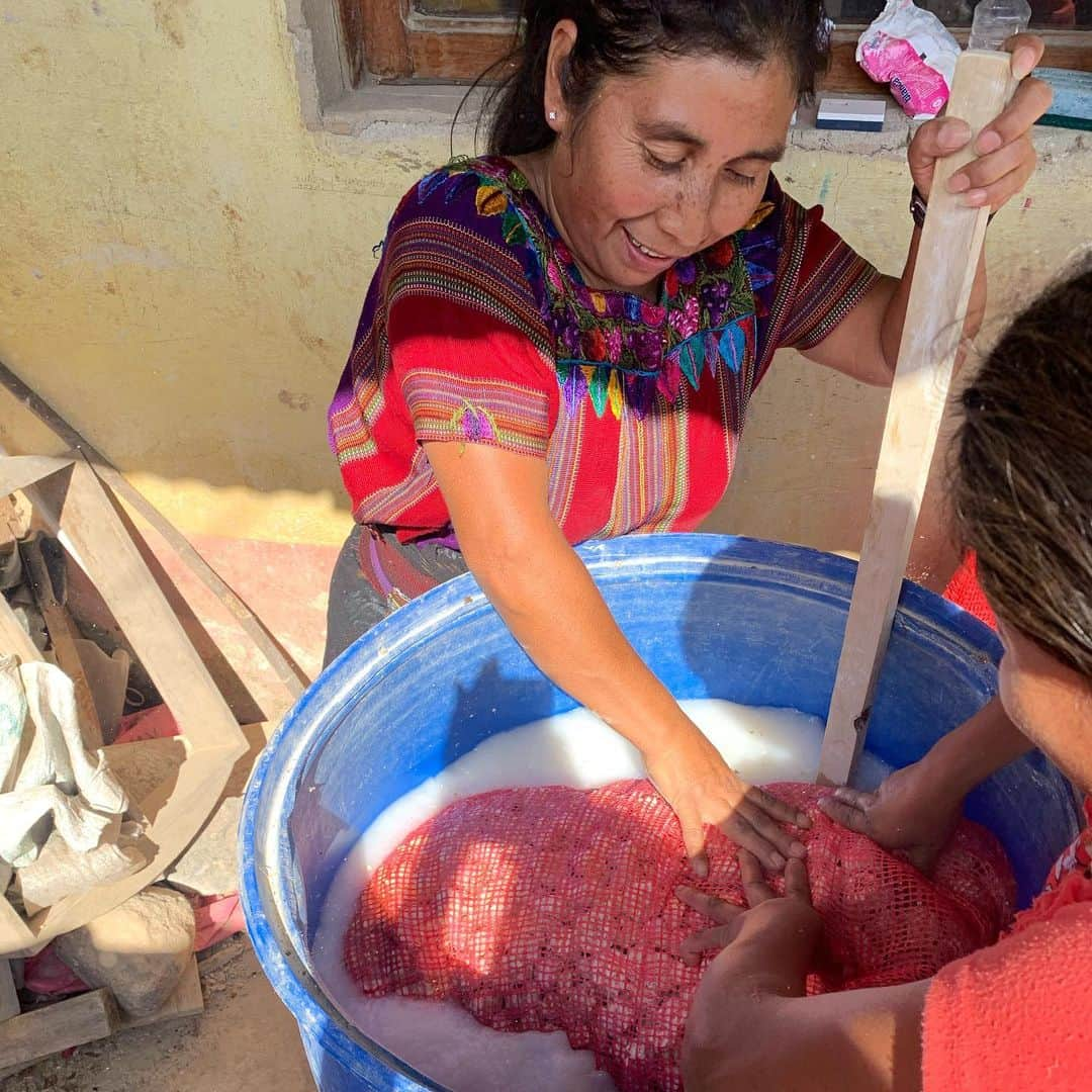 ボニー・ライトさんのインスタグラム写真 - (ボニー・ライトInstagram)「thinking back to meeting a wonderful group of women who ran their own mushroom growing business up a steep winding hillside above lake atitlán in guatemala. meeting people, crossing languages, backgrounds and cultures is a joy and i can’t wait for the privilege to travel again in the future. until then i’ll eat mushrooms at home 🍄」1月5日 13時31分 - thisisbwright