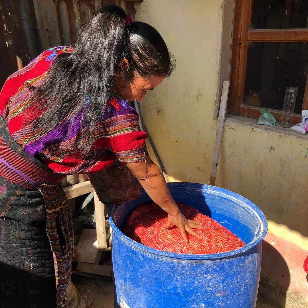 ボニー・ライトのインスタグラム：「thinking back to meeting a wonderful group of women who ran their own mushroom growing business up a steep winding hillside above lake atitlán in guatemala. meeting people, crossing languages, backgrounds and cultures is a joy and i can’t wait for the privilege to travel again in the future. until then i’ll eat mushrooms at home 🍄」