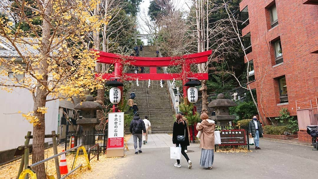 桜花のインスタグラム