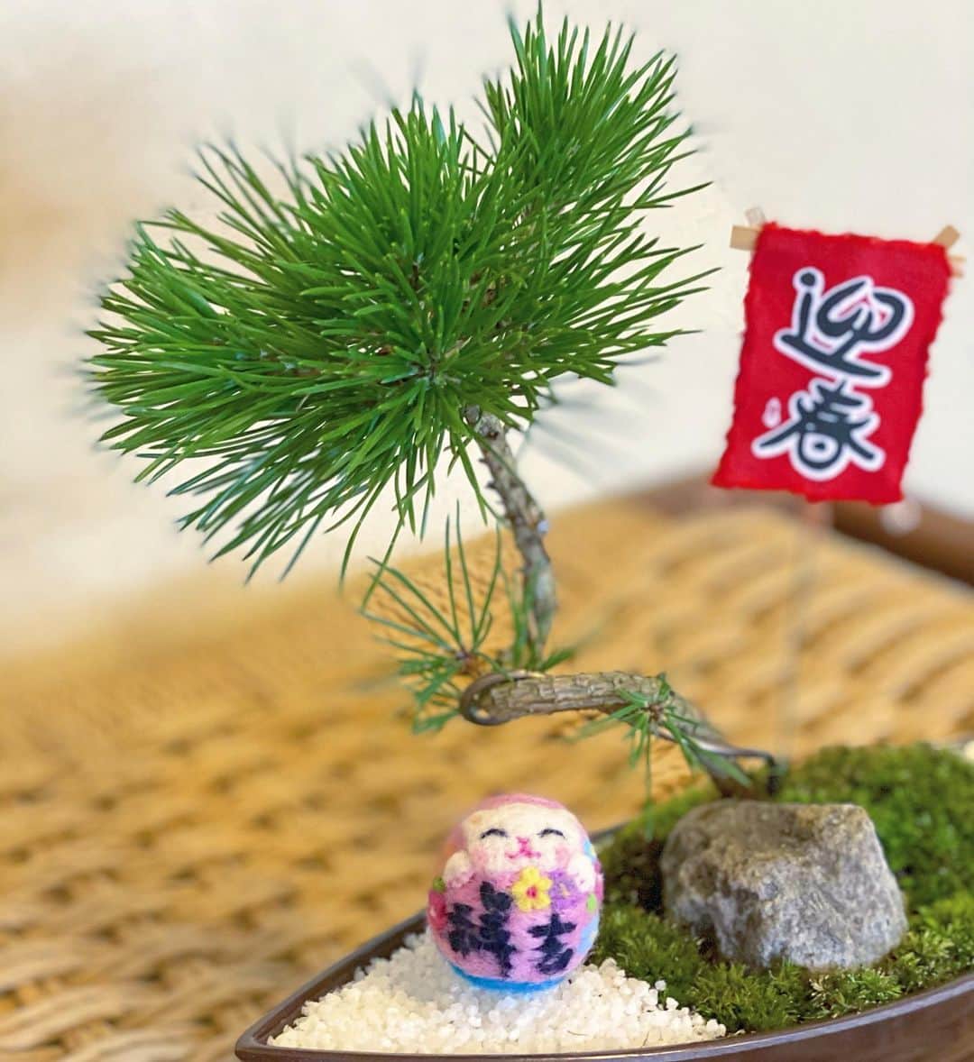 祥吉のグルメインスタ