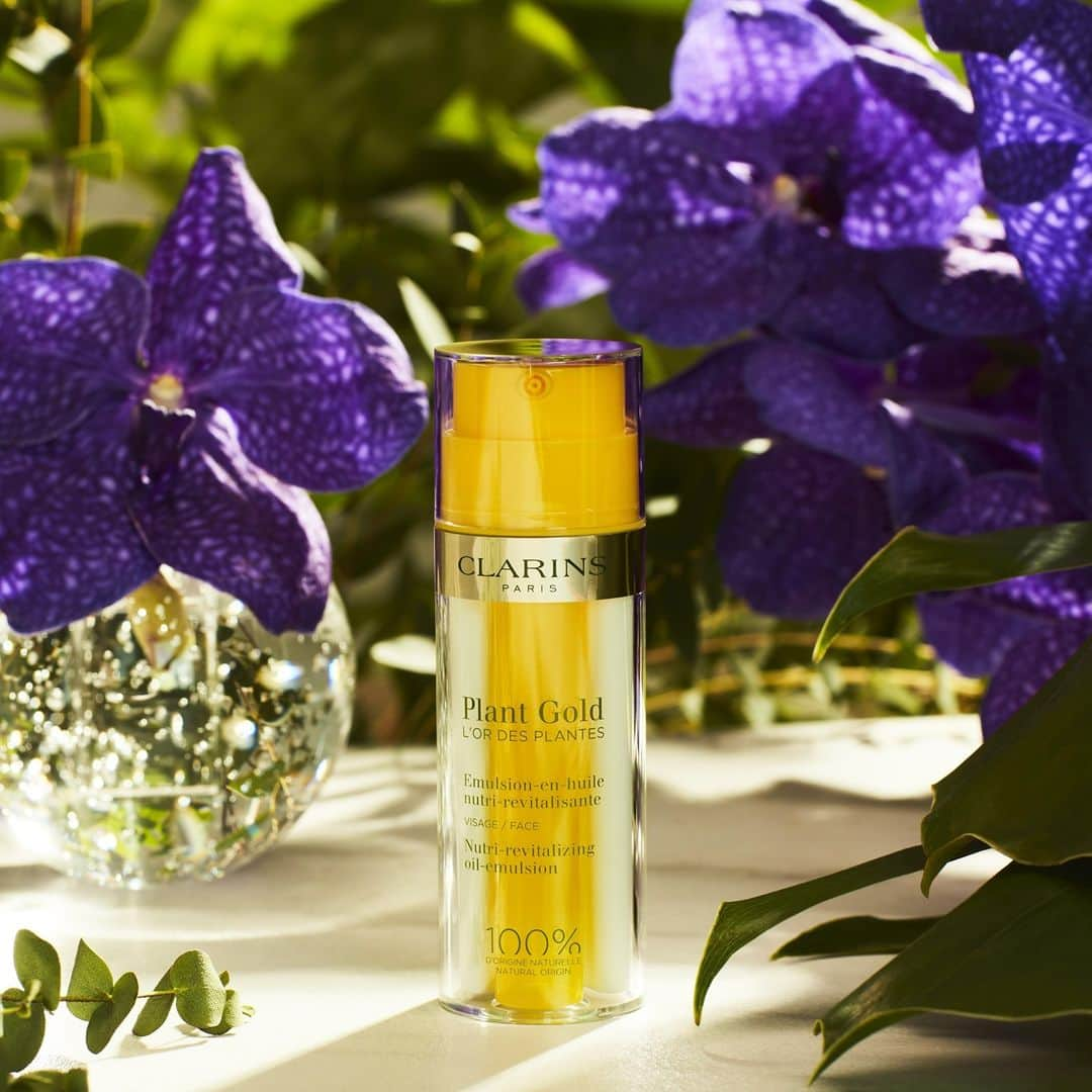 Clarins Franceさんのインスタグラム写真 - (Clarins FranceInstagram)「En cette rentrée, faites le plein de naturalité pour votre peau 🌿 Plant Gold – L’Or des Plantes, c’est une formule 100% d’origine naturelle pour une triple action : ⁣ ✔️Nutrition⁣ ✔️Vitalité⁣ ✔️Éclat⁣ .⁣ .⁣ #Clarins #MonSoinClarins #PlantGold #Glow #NaturalBeauty #SkinDetox」1月6日 1時00分 - clarinsfr