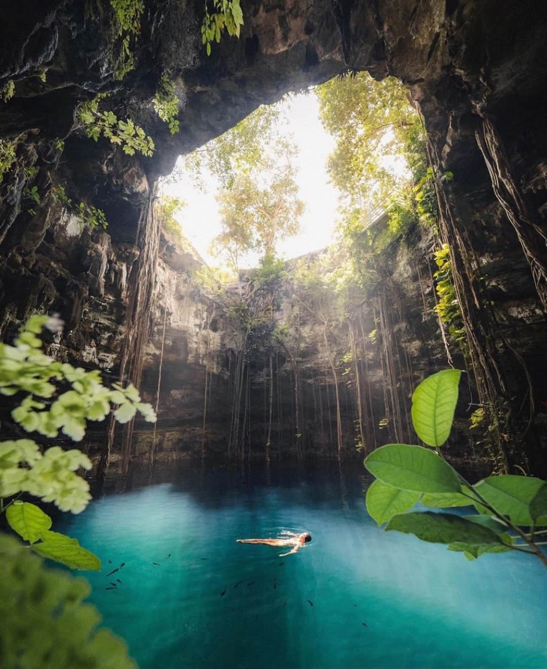 Earth Picsさんのインスタグラム写真 - (Earth PicsInstagram)「The beautiful and serene, Cenote Oxman, a Yucatan Peninsula gem 🇲🇽 Did you know there are over 6000 different cenotes in the Yucatán Peninsula of Mexico? Photo by @justindkauffman」1月6日 1時00分 - earthpix