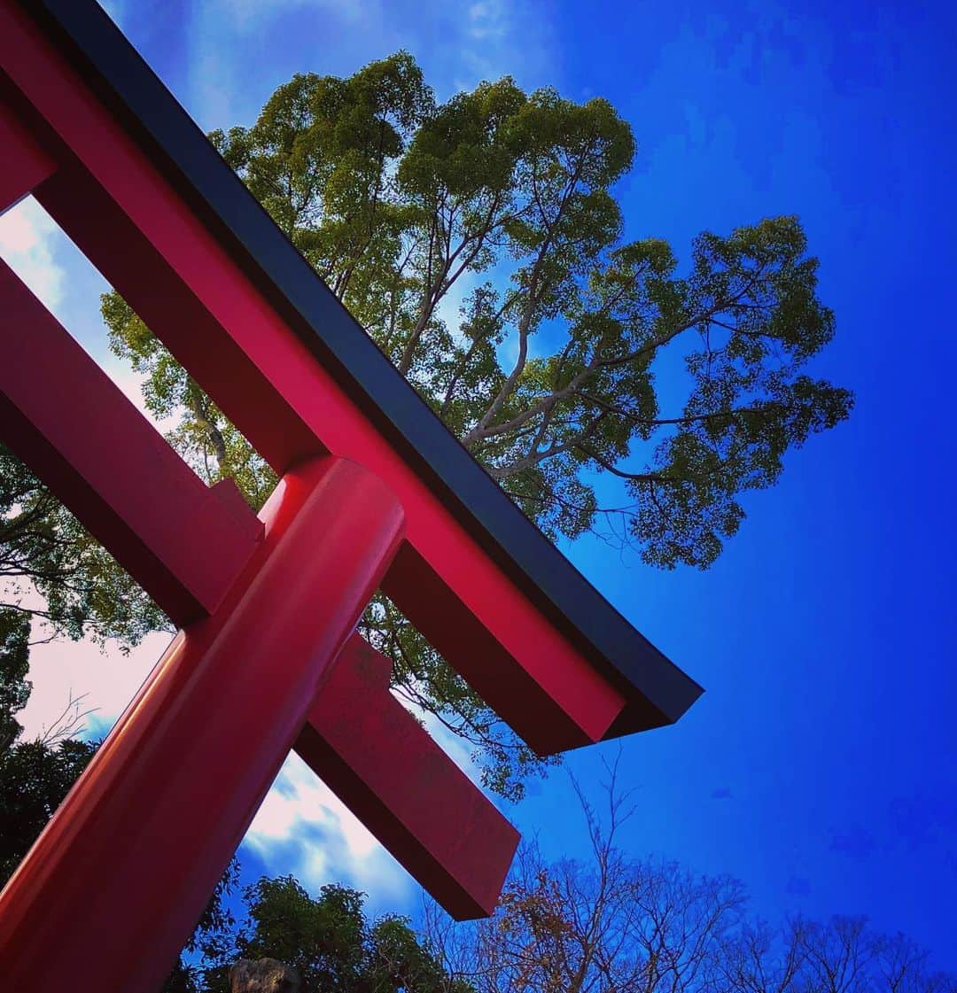 羽原信義さんのインスタグラム写真 - (羽原信義Instagram)「神様にご挨拶。」1月6日 1時41分 - nobuyoshi_habara