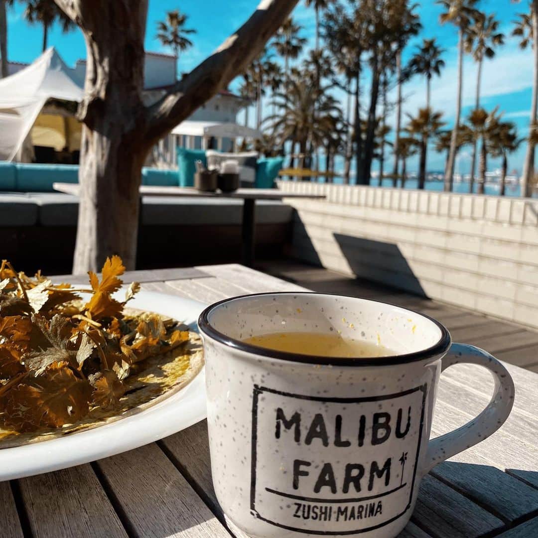 SONNYさんのインスタグラム写真 - (SONNYInstagram)「Malibu Beach? Felt like I was back in CALI for my B-DAY 日本のマリブで故郷カリフォルニアを感じれた誕生日  @malibufarm_zushimarina  @malibu_hotel  #malibufarm」1月6日 1時49分 - sonnyprimetime