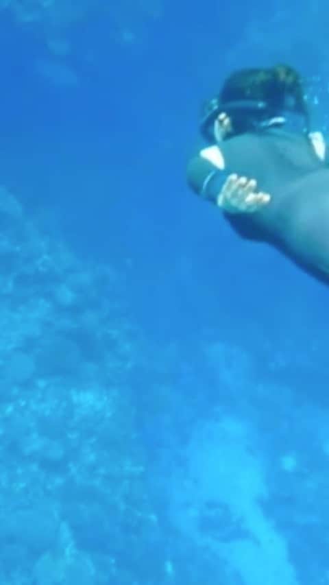 akikoのインスタグラム：「11月に石垣に行った時に、一緒に潜ってた友達が動画を送ってくれたのでシェア。ありがとう✨🙏😆 私のウェット穴が空きまくってる💦けど、11月でもラッシュ二枚重ね+3mmスプリングで全然寒くないなんて感動！透明度もよくてキラキラしてて、すごく綺麗でした✨✨✨  早くまた潜りに行きたいなぁ🐠🐟🐠🐟  #skindiving #スキンダイビング #素潜り #石垣島スキンダイビング」