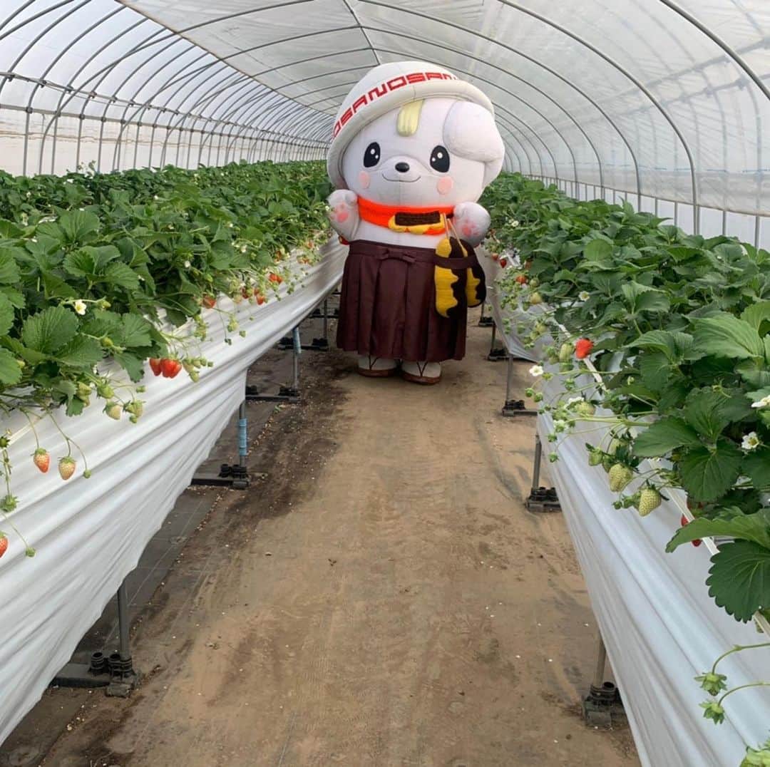 さのまるのグルメインスタ