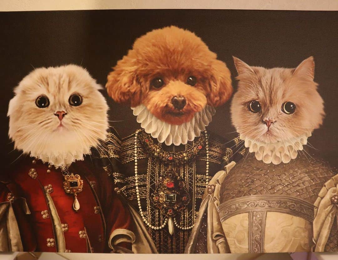 ベルさんのインスタグラム写真 - (ベルInstagram)「. 【Pet  Portrait】  Crown and Pawさんのカスタムペット肖像画 ルネサンス風に仕上げてもらったにゃ🖼 ユニークなペット・アートが素敵に簡単に出来るにゃよ ★コスチュームを選ぶ ★写真をアップロード それだけにゃ💓  油絵風なキャンバスは高品質プリント 手作業で作られた頑丈な堅木フレーム 重厚な感じがとっても素敵にゃ🖼✨ ↓↓↓ http://japan.crownandpaw.com/ @crownandpaw #crownandpaw  15%offのディスカウントコードいただいたにゃ コード ➡️ RICORICO_RICO15 興味ある方は使ってにゃ😽💞  #portrait  #petportrait #肖像画 #ペット肖像画  #ルネサンス風  #猫 #犬 #愛猫 #愛犬 #世界でひとつだけ   #catstagram_japan #bestcatsclub#bestcataward  #cats_of_instagram #catsofinstagram #club_of_cats #9gagcute  #ミヌエットのベルちゃん #スコティッシュフォールドのすずちゃん #ティーカッププードルのリンドール  NAME : Bell  ベル Breed : minuet  ミヌエット 🎂 : 2016.5.15  4歳 ・ NAME : Suzu すずちゃん Breed : Scottish fold スコティッシュフォールド 🎂 : 2018.3.21 2歳 . NAME : Lindor リンドール Breed : Teacup poodle ティーカッププードル 🎂 : 2019.7.18 〜2020.9.14 1歳」1月5日 17時59分 - ricorico_rico