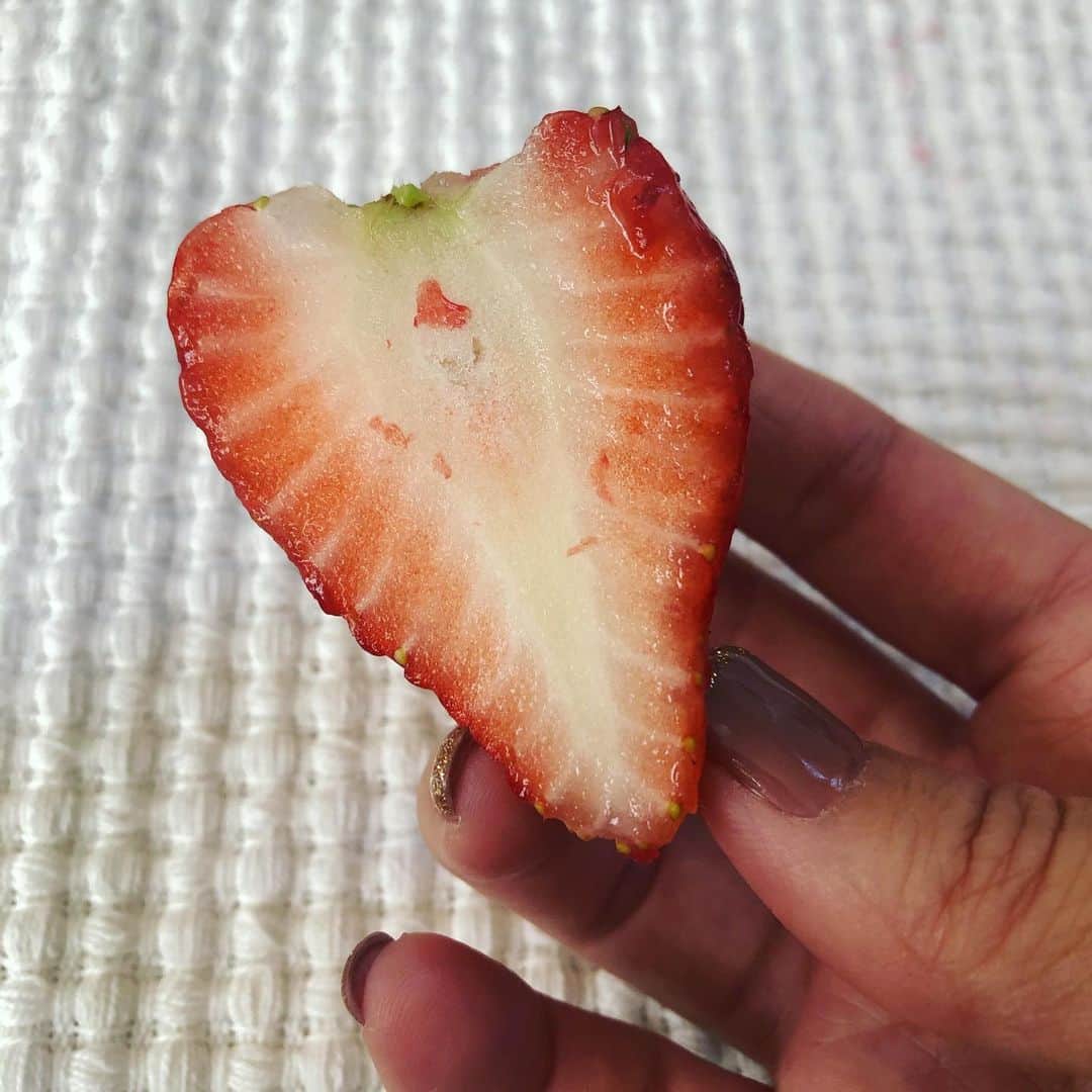 田中美里のインスタグラム：「またまた美味しい苺いただきました。  半分に切ったら ハートの形になるよと 教えていただいたので 一つ切ってみたら 中にも偶然 小さなハートができた♡ わかるかな？  #ハート #とちあいか  #栃木県 #美味しかった #ありがとうございました」