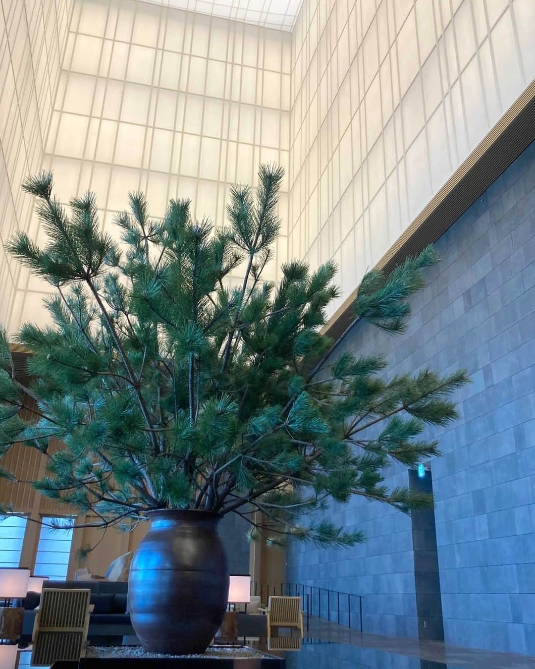 AOYAMA_HANAMOのインスタグラム