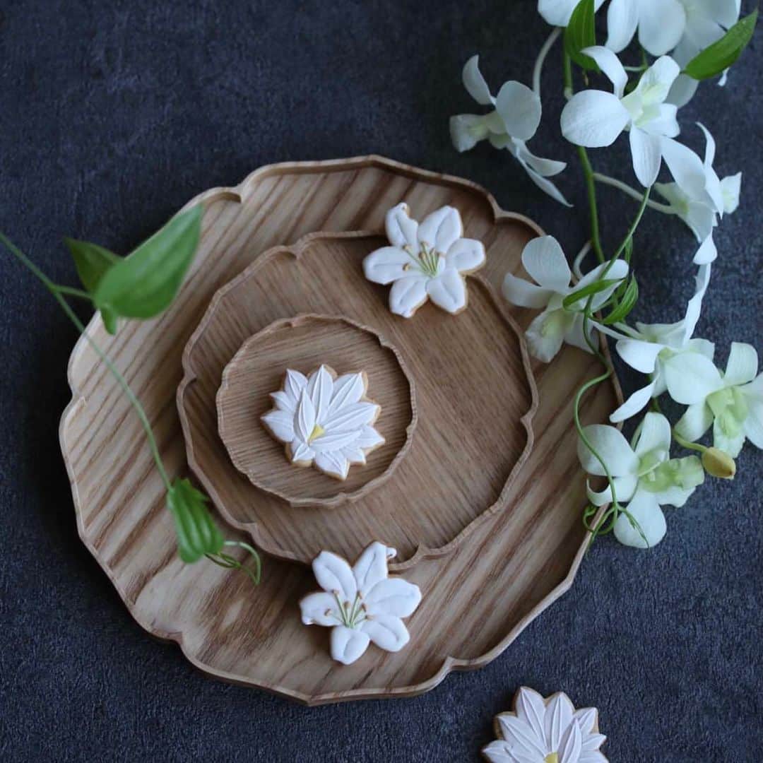 melodyのインスタグラム：「🍽✨﻿ ＊﻿ Thanks to @labranche2016, atelier＊m's icing cookies were used in a photo shoot for the lacquer brand @towan_tablestyle.﻿ ﻿ Starting with wooden plates that don't soak up water, there are a lot of vessels that beautifully complement your dishes, such as a modern and sophisticated three-tiered Japanese stacked box. There are so many wonderful items to choose from.﻿ The store link for the lacquer brand @towan_tablestyle is on Stories.﻿ ﻿ I'd also like to express my sincere gratitude to @labranche2016, who is active as a table coordinator who can't get a reservation, for connecting us.﻿ I can't even begin to imitate her breathtakingly beautiful cooking and coordination, but I'm really learning from her. Please have a look.﻿ ﻿ ＊＊＊﻿ ﻿ この度、@labranche2016 様のご縁により、atelier＊mのアイシングクッキーを 漆ブランド @towan_tablestyle 様の撮影にご使用いただきました。﻿ 素敵な器に乗せていただいたクッキーたちが誇らしげに見えます。﻿ ﻿ 木のお皿を始め、和モダンで洗練された三段重箱など、お料理を美しく引き立ててくれる器がたくさん。素敵過ぎて目移りしてしまいます。﻿ ﻿ また、予約の取れないテーブルコーディネーターとしてご活躍の @labranche2016 様 には、このようなご縁を繋いでいただき、心より感謝申し上げます✨﻿ ため息が出るほど美しいお料理やコーディネート、お写真を是非一度ご覧になってみて下さい。﻿ ﻿ photo by @labranche2016﻿ ﻿ ＊＊＊﻿ ﻿ #table coordinate#towan#漆器#天然色素#国産#アイシングクッキー#アトリエエム#happynewyear#オンライン#ギフト#design#糖霜餅乾#曲奇#design﻿ #pic#cookies#sugarcookies#decoration#icingcookies﻿ #japan#Instagram#instagramjapan#IgersJP#cupcakeproject﻿ #ファインダー越しの私の世界#スイーツ#sweets#instasweet#locari」
