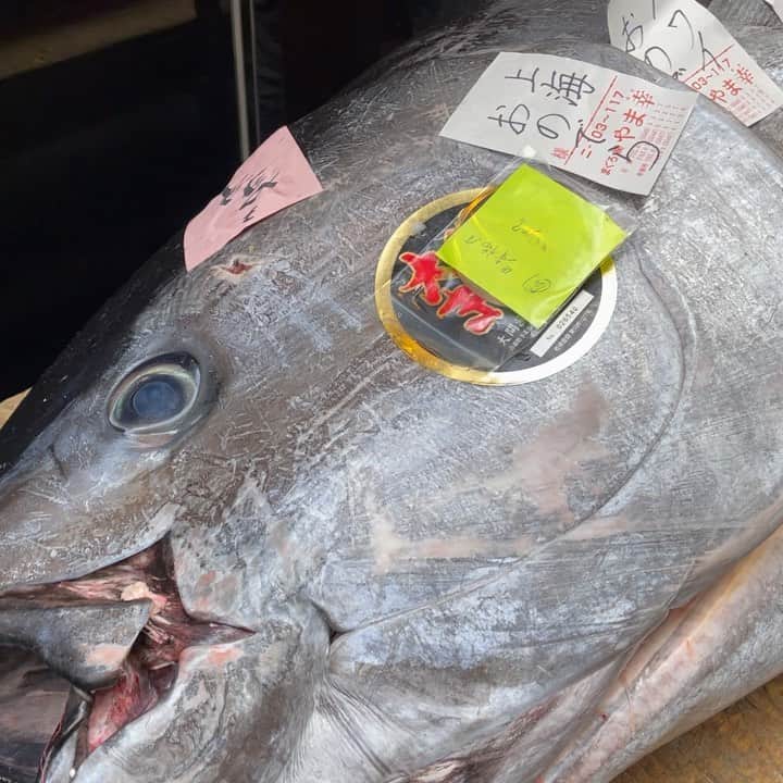 Ginza ONODERA Groupのグルメインスタ