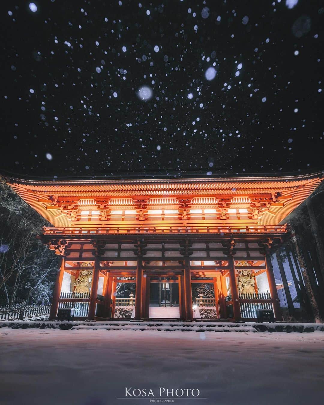 コサのインスタグラム