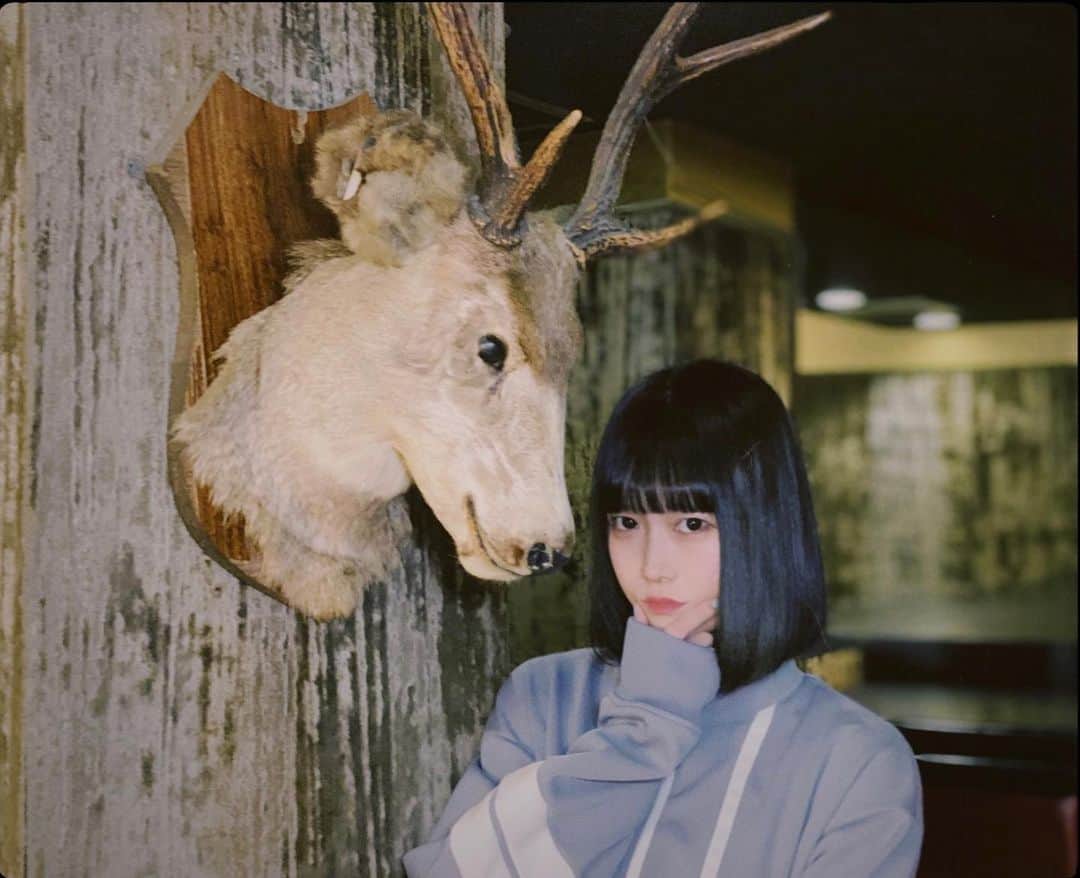 中川美優さんのインスタグラム写真 - (中川美優Instagram)「しか」1月5日 20時07分 - nakagawamiyuu
