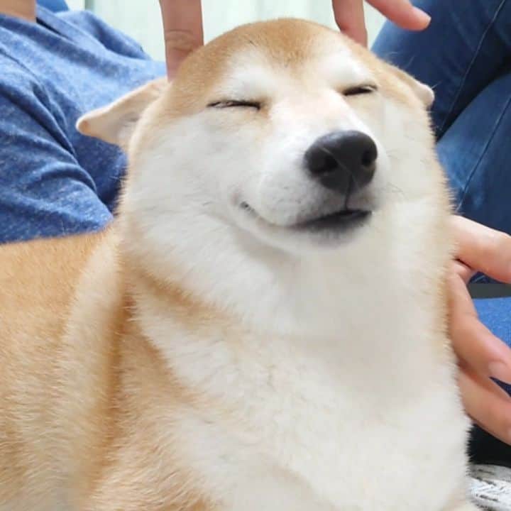 ちゃみのインスタグラム