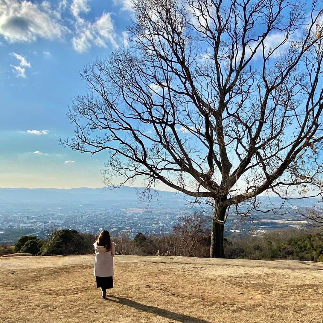上野貴穂さんのインスタグラム写真 - (上野貴穂Instagram)「.﻿ お天気が良くて気持ちよかった☀️﻿ ﻿ #奈良 #若草山﻿」1月5日 20時42分 - kiho_ueno