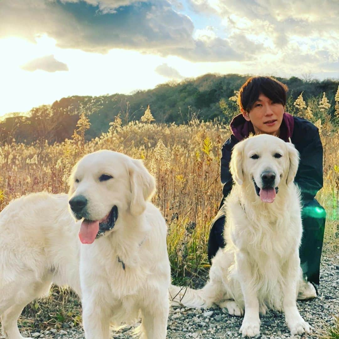 古市憲寿のインスタグラム：「2021年もよろしくお願いします、に見せかけて2020年に撮った写真です。もちろん、僕のワンちゃんではないのですが、意外と好かれています。」