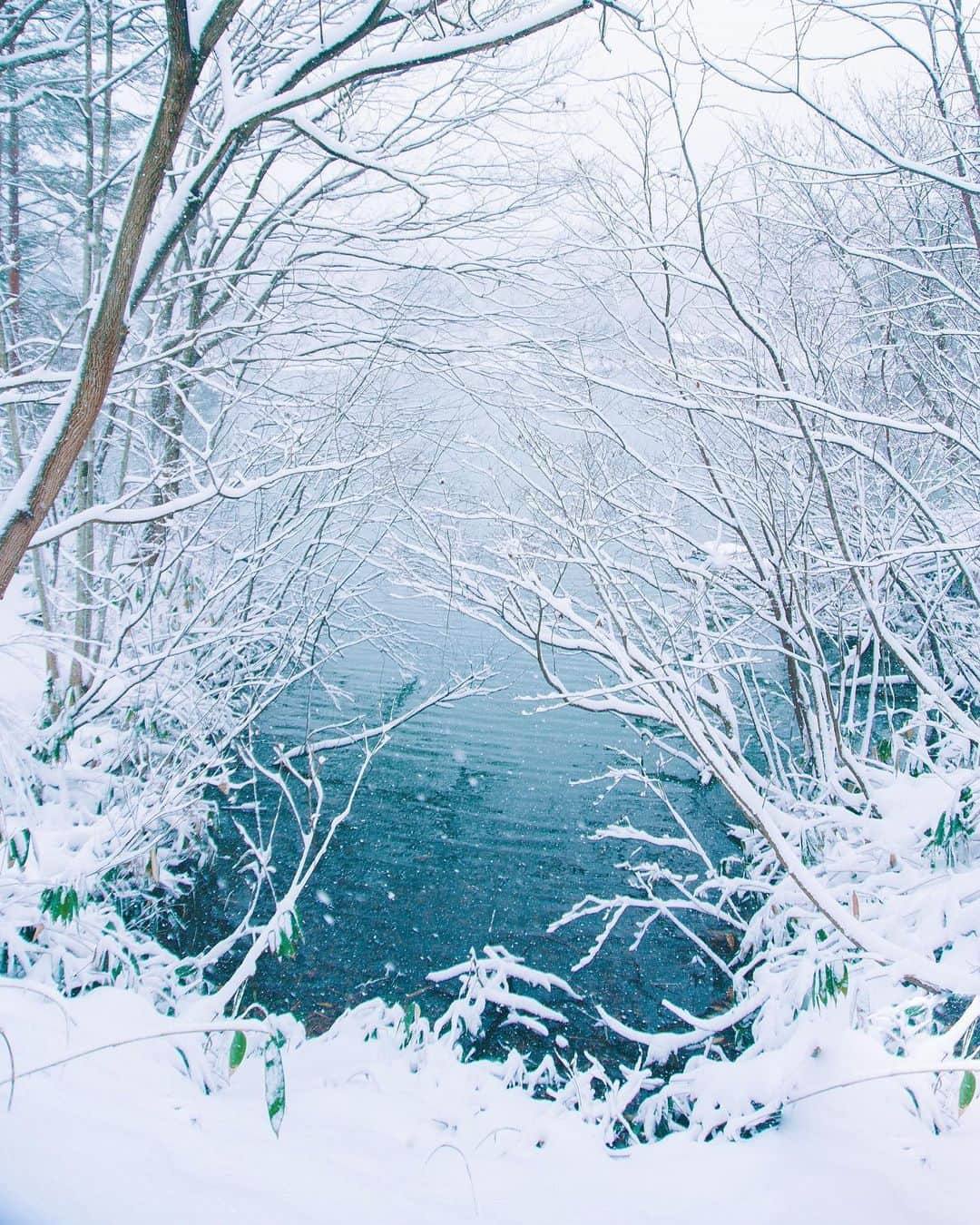 yukiのインスタグラム：「・ ・ ・ Wonderful winter days ・ ・ ・ ◉sty830 base shop◉ https://sty830.base.shop/ ・ ・ ・ #新潟　#雪　#雪景色」