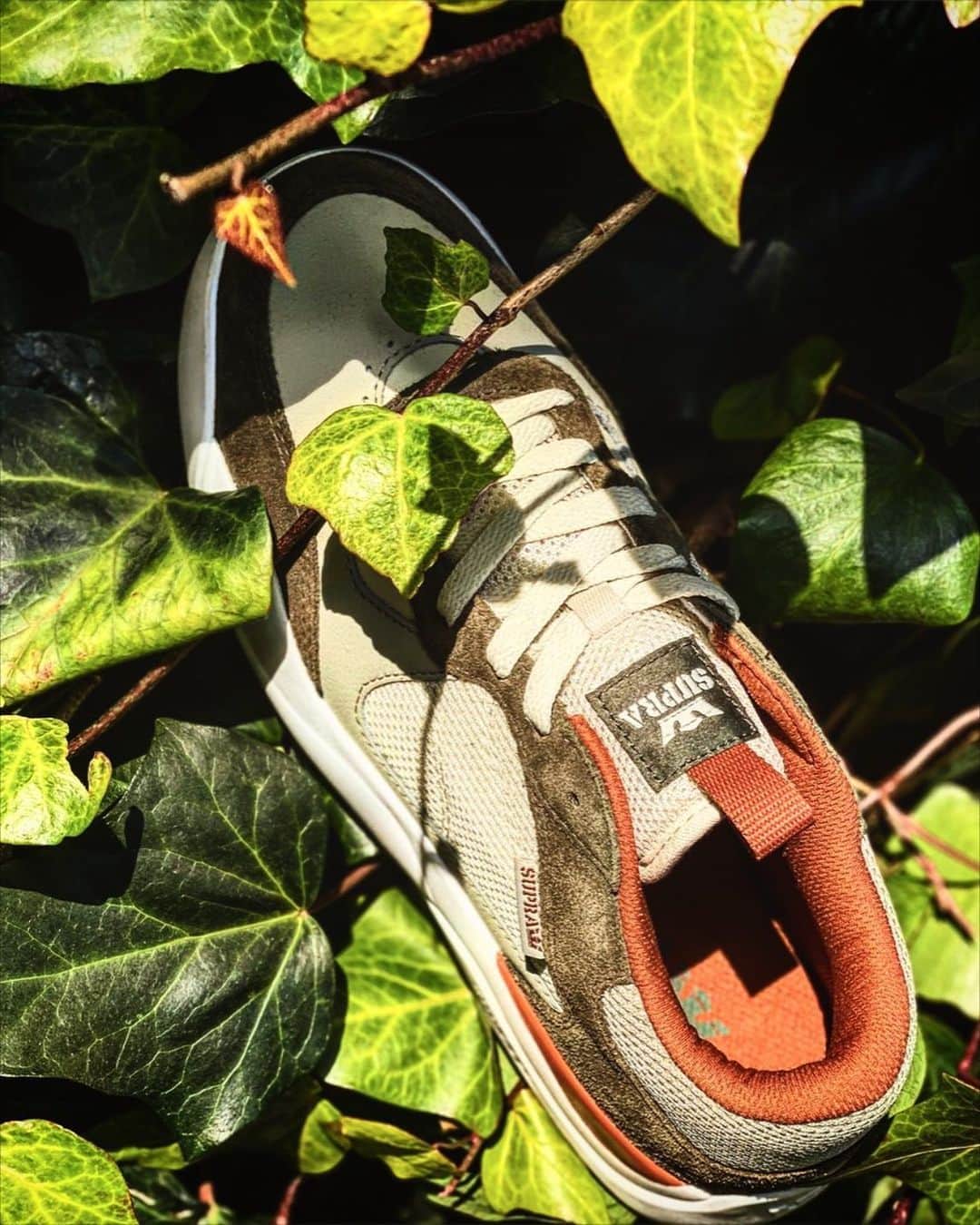 のインスタグラム：「. 【PECOS】  -OLIVE STONE WHITE-  STORE & ONLINE  #suprafootweartokyo #sneaker #pecos #white #olive #harajuku #tokyo」