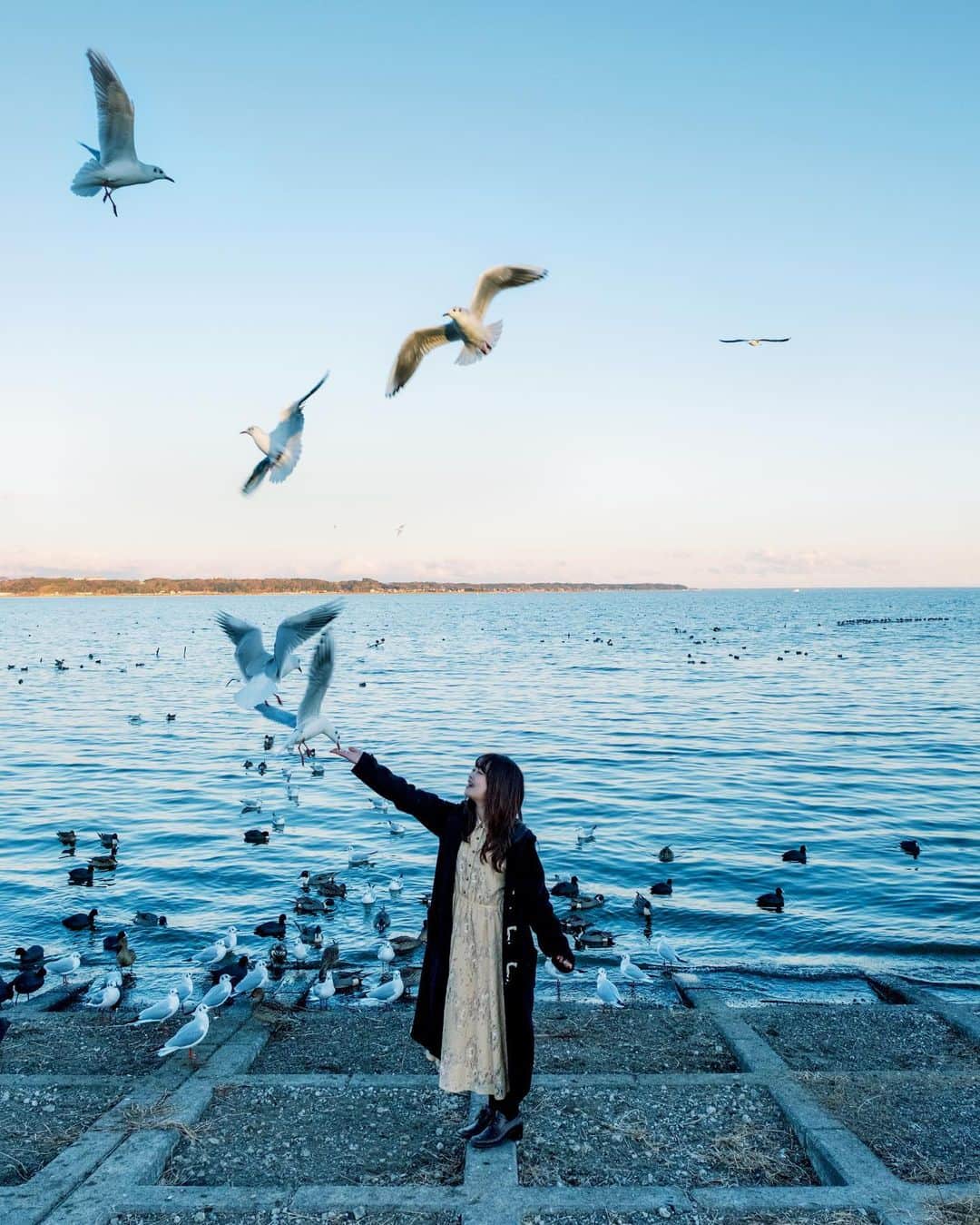 shabonのインスタグラム：「* . . . . . 🕊 . . FUJIFILM X-T4 /  XF16-55mm F2.8 R LM WR . . . . . *   #igersjp #tokyocameraclub  #東京カメラ部 #photo_shorttrip #team_jp_ #GPW_members_only #genic_mag #as_archive #worldviewmag #lovers_nippon_portrait  #art_of_japan_ #daily_photo_jpn #jp_mood #ファインダー越しの私の世界 #japan_daytime_view #dreamermagazine #xt4 #fujifilm_xseries #fujifilmxt4 #artofvisuals #1x #moodygrams #hellofrom #🕊 #今日もx日和 #ギャラリームジン  #誰かに見せたい景色 #rox_captures」