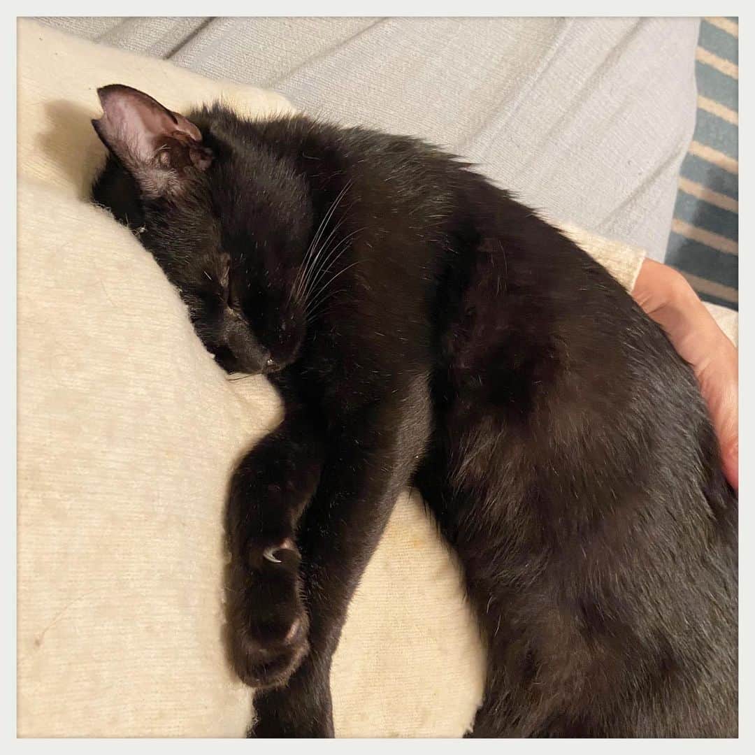 のインスタグラム：「かれこれ2時間この状態。。。」