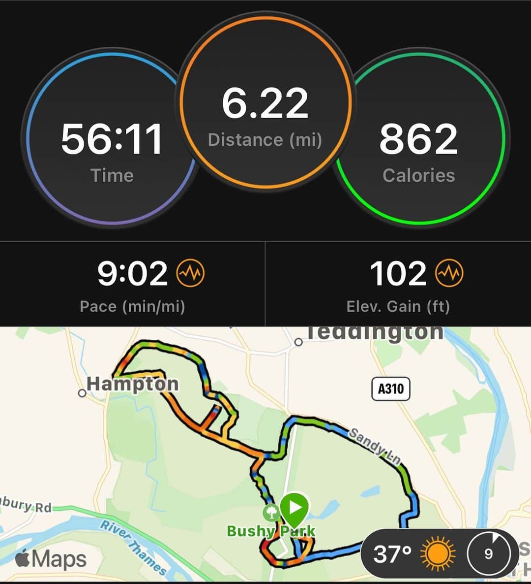 ジョン・テリーさんのインスタグラム写真 - (ジョン・テリーInstagram)「10k Around Bushy Park 🏃🏻‍♂️ Aiming to run 100 miles this month, 80 miles to go 👊🏻 @dementia_uk」1月5日 22時07分 - johnterry.26