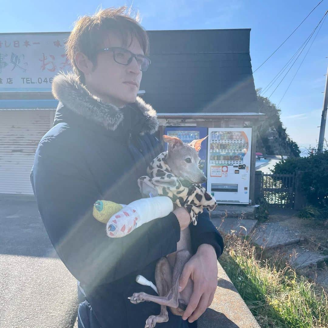 Anton Wormannさんのインスタグラム写真 - (Anton WormannInstagram)「Been taking care of this beautiful Italian Greyhound called Caffe since November🐶🐕  She broke both her front legs falling from the balcony but is finally recovering well ❤️ Celebrating by showing her the ocean 🌊  First time in her life ✨✨✨ カフェと言うイタリアグレーハウンドは11から扱っています🐕　ベランダから落ちた事故で両方の前足を骨折しちゃいました。やっと完全に治れそうです　😍 カフェの初海🏖  #葉山　#神奈川　#日本　#イタリアグレーハウンド」1月5日 22時22分 - antonwormann