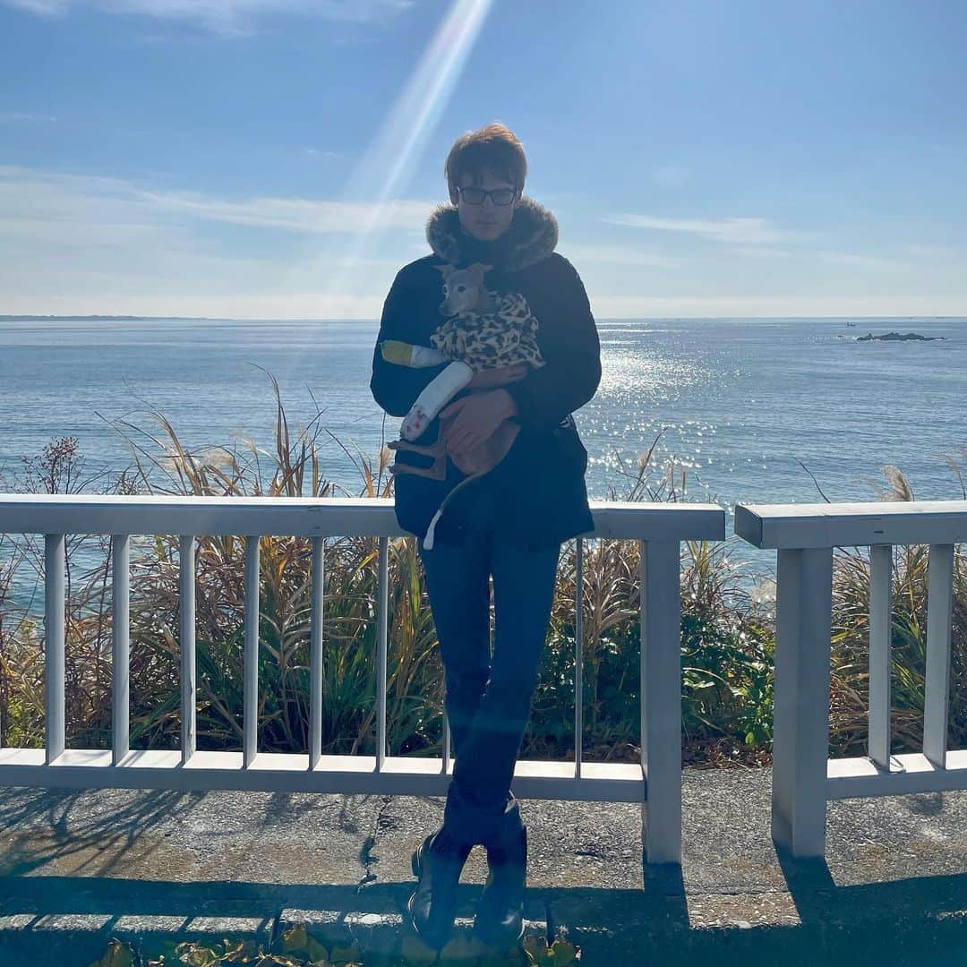 Anton Wormannさんのインスタグラム写真 - (Anton WormannInstagram)「Been taking care of this beautiful Italian Greyhound called Caffe since November🐶🐕  She broke both her front legs falling from the balcony but is finally recovering well ❤️ Celebrating by showing her the ocean 🌊  First time in her life ✨✨✨ カフェと言うイタリアグレーハウンドは11から扱っています🐕　ベランダから落ちた事故で両方の前足を骨折しちゃいました。やっと完全に治れそうです　😍 カフェの初海🏖  #葉山　#神奈川　#日本　#イタリアグレーハウンド」1月5日 22時22分 - antonwormann