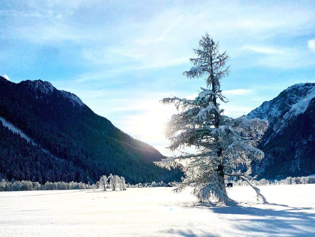 カロル・ブレッサヌッティさんのインスタグラム写真 - (カロル・ブレッサヌッティInstagram)「𝚝𝚑𝚎 𝚖𝚊𝚐𝚒𝚌 𝚘𝚏 𝚠𝚒𝚗𝚝𝚎𝚛 ❄️☃️🌨  #winterwonderland #snow #magical #winter #myhome」1月5日 22時23分 - carolein_b