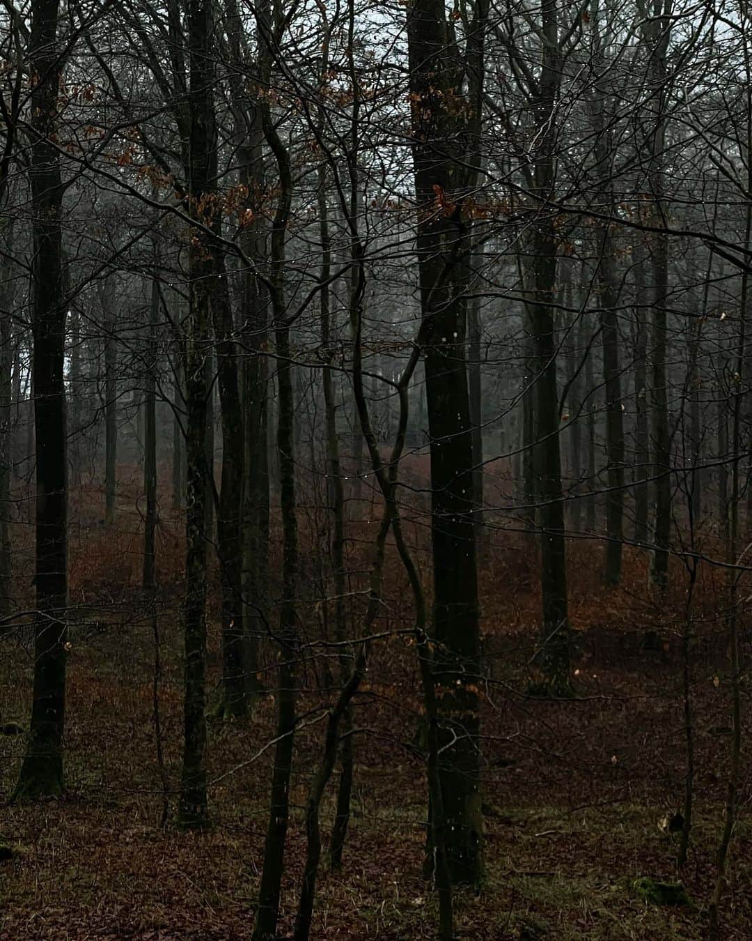 Mathilde Goehlerのインスタグラム：「Surrounded by nature 🤎」