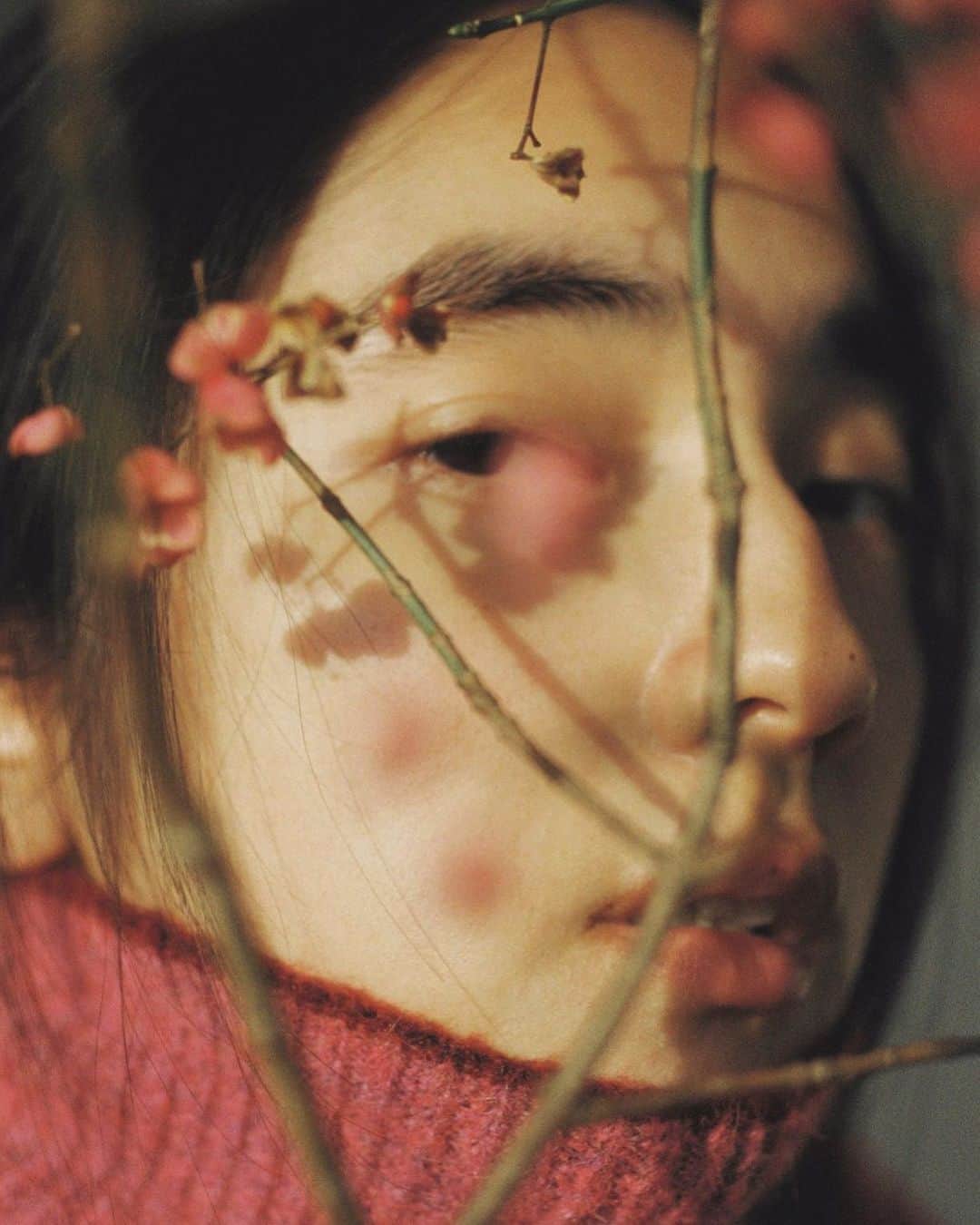 仁村紗和のインスタグラム：「明けましておめでとうございます😷  年賀状の写真は @toshiakikitaoka 🌸 ありがとう 🐻」