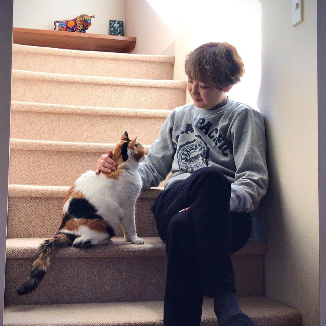 犬童一心さんのインスタグラム写真 - (犬童一心Instagram)「年末年始。」1月5日 22時28分 - isshininudo