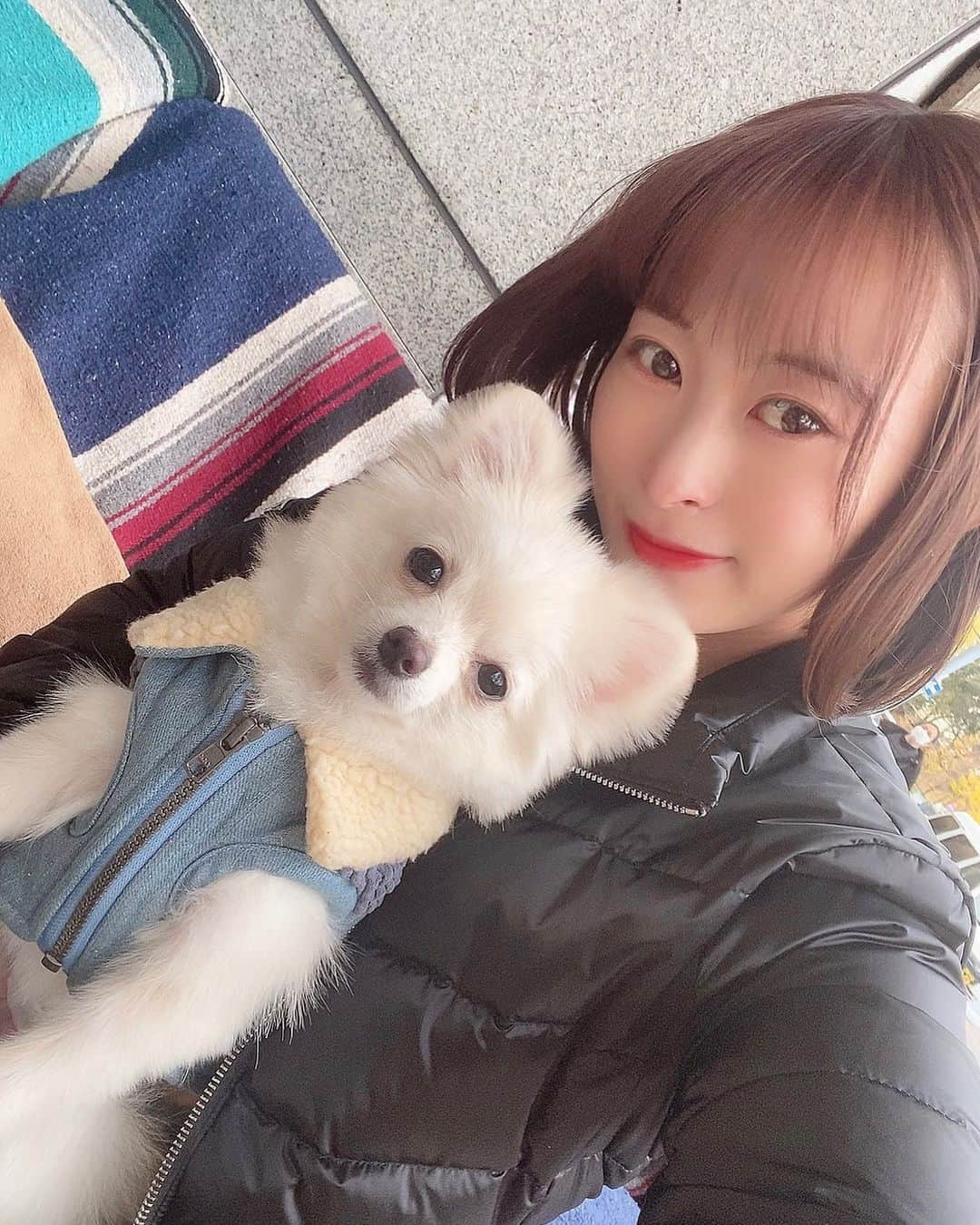 三浦亜莉沙さんのインスタグラム写真 - (三浦亜莉沙Instagram)「▷▷ 𝐥𝐨𝐯𝐞﻿ ﻿ 今日はぷぅの1歳のお誕生日🐶🎂✨﻿ ﻿ 一緒に写真撮ったけどうまく撮れてなかったから﻿ ちょっと前の写真で😂﻿ ﻿ ぷぅに一目惚れして一緒に生活して﻿ 毎日がほんとに楽しくて幸せ🤍﻿ ﻿ ぷぅが元気でいてくれたらそれだけで十分🤍﻿ これからもずっとずっとよろしくね☺️﻿ いろんなところお出かけしようね🤍﻿ @puu.0105 🐶🤍 ﻿ #愛犬 #ぷぅ #ポメラニアン﻿ #1歳 #お誕生日 #おめでとう﻿ #🎂﻿ #大好き ！」1月5日 22時36分 - arisa_0720