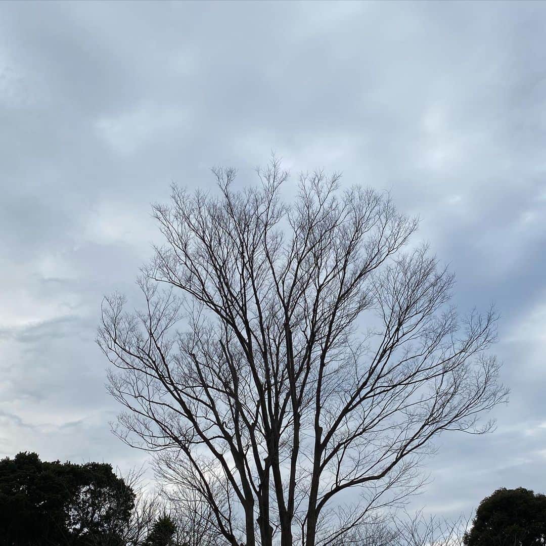 ヒカル（はやぶさ）さんのインスタグラム写真 - (ヒカル（はやぶさ）Instagram)「こんばんは🌆 今日は祖父母が眠るところへコロナ禍なので一人で行ってそっと手を合わせて帰りました。ちょっと寂しかったけど、今年も頑張っていくからねと言ってきました😊👍  みなさん、こんなヒカルですがこれからもよろしくお願いいたします🙇‍♂️💕」1月5日 22時45分 - hayabusahikaru8823
