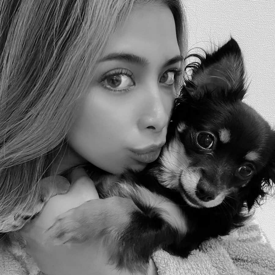 Airi Shibuyaのインスタグラム：「My baby🐶🤍 . 完全なる親バカ。笑 . #チワックス#犬のいる暮らし#犬のいる生活#愛犬」