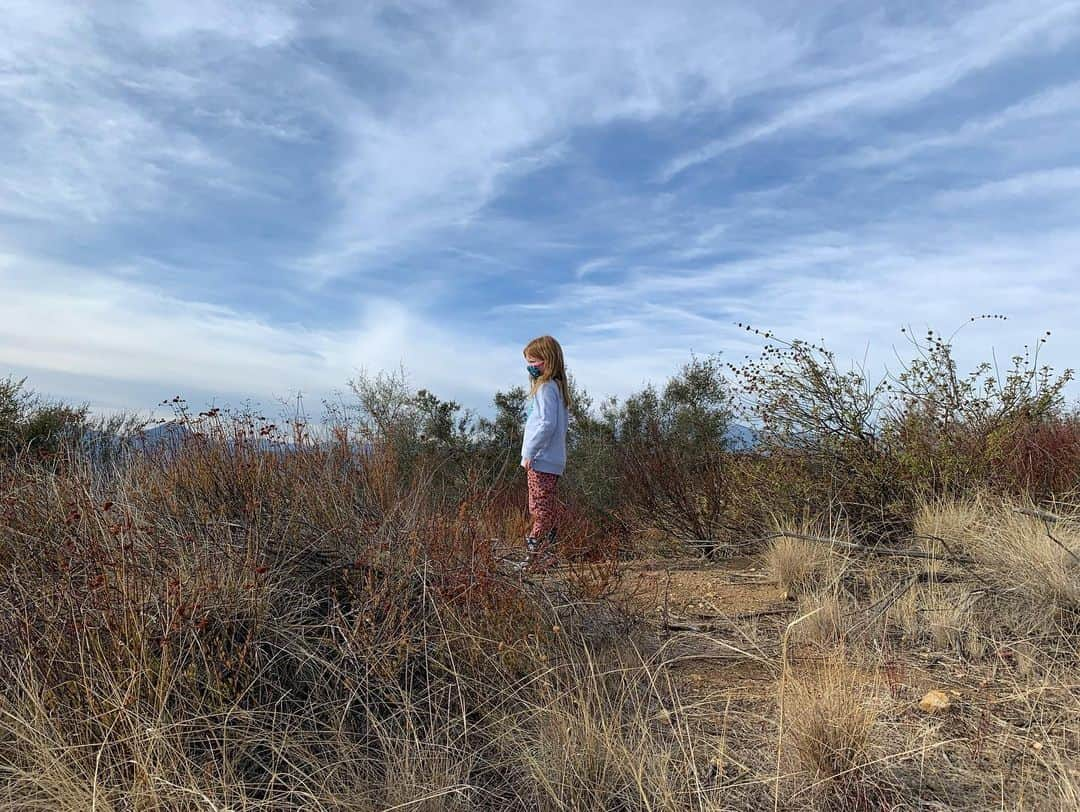 サラ・ドリューさんのインスタグラム写真 - (サラ・ドリューInstagram)「A drive to the mountains for some much needed mental health. ❤️❤️❤️ (Our Lucy pup is 15 and this summer her hips have really been struggling, so she needs booties to walk around and grip the floor and sometimes needs some support in her back legs while walking. She was so happy on this little adventure walk. )」1月5日 23時35分 - thesarahdrew