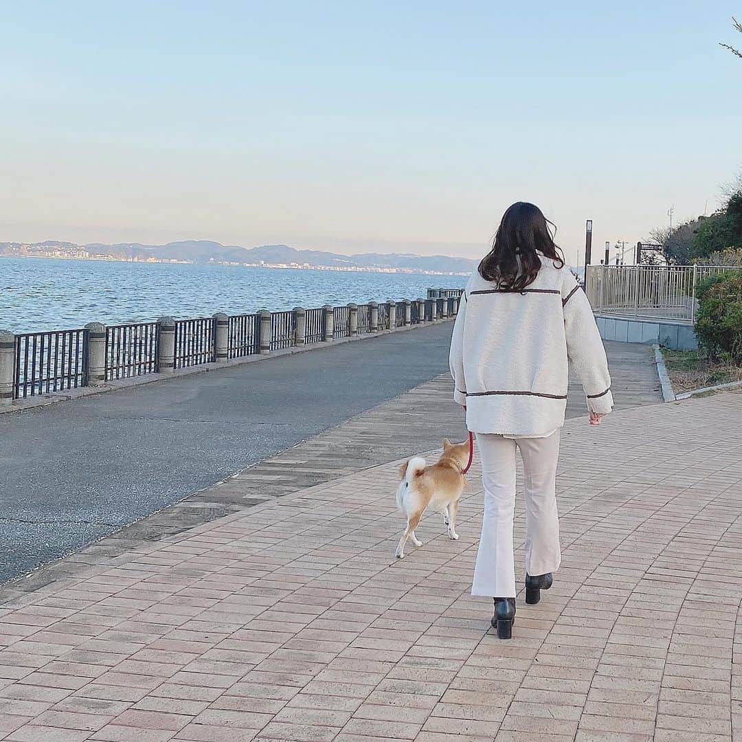 高橋美海のインスタグラム：「🐕♡」