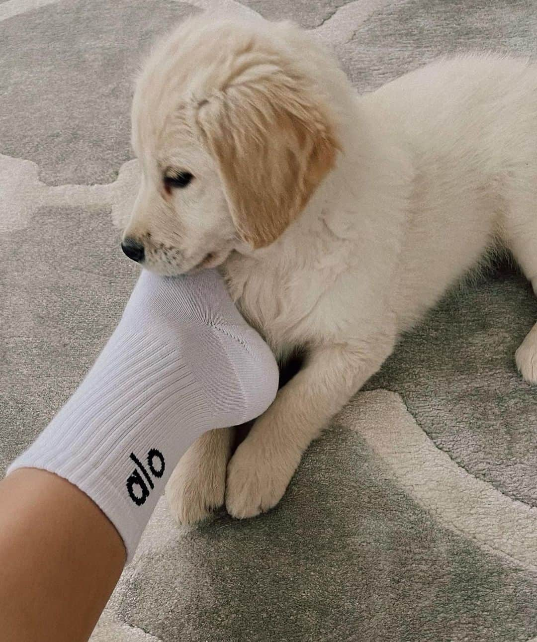 ロレーナ・ラエさんのインスタグラム写真 - (ロレーナ・ラエInstagram)「Got a bit distracted trying to stretch this morning ... meet my sisters new best friend 🐶  Wearing @aloyoga 🤍 Anzeige」1月5日 23時38分 - lorena