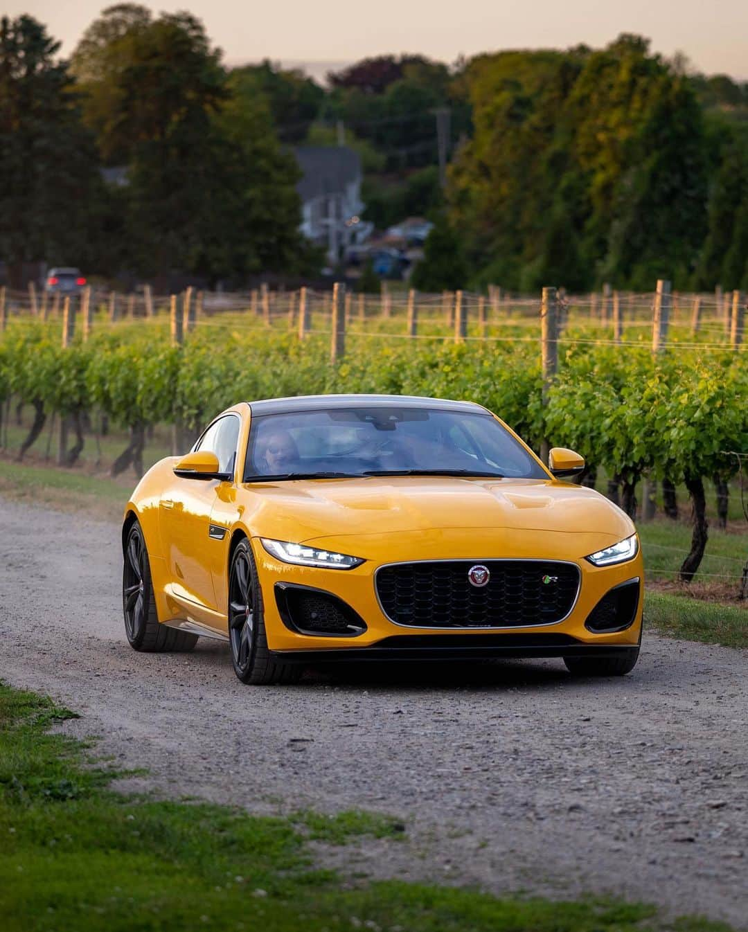 Jaguarさんのインスタグラム写真 - (JaguarInstagram)「One look is all it takes.   #Jaguar #FTYPE #Coupé #Luxury #Premium #Exclusive #Performance #Sport #SportsCar #CarsofInstagram #InstaCar #RhodeIsland #NewEngland #USA」1月5日 23時43分 - jaguar