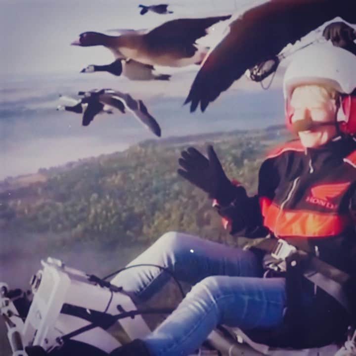 カロライナディークマンのインスタグラム：「imagine o que você sentiria se estivesse no céu e a natureza fosse te saudar,  assim,  tão de pertinho...  que esse ano possa ser um pouco disso: comunhão e emoção  à vera à flor da pele  então eu desejo que onde você estiver e com quem você estiver a natureza siga dentro de você e ao seu redor... amém.」